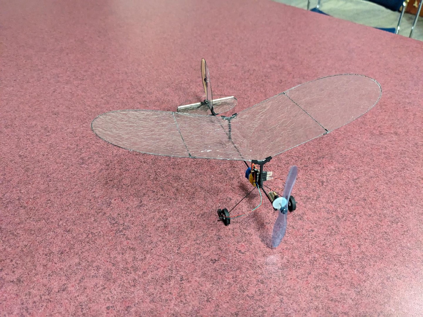 April 2024 Newsletter