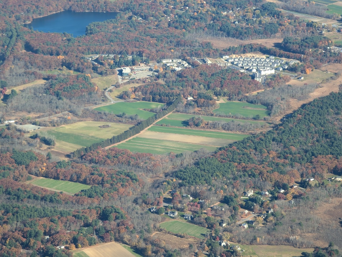 December 2024 Newsletter