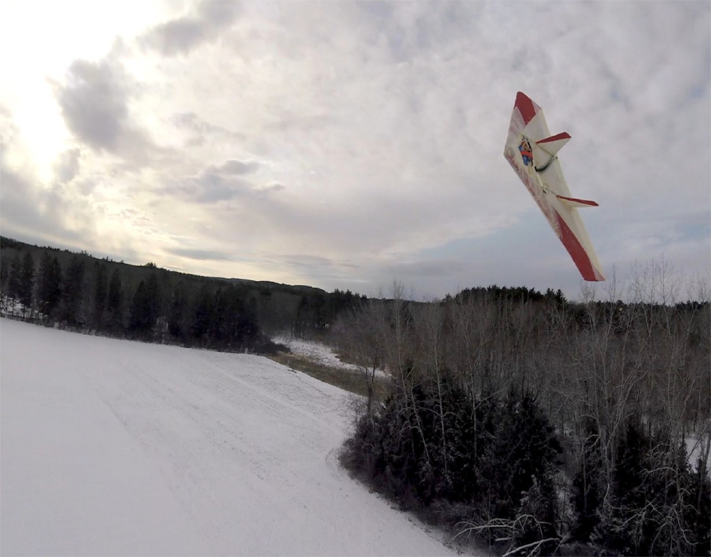 January 2026 Newsletter